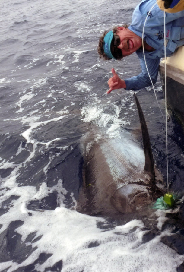 Image: Mick Fletoridis